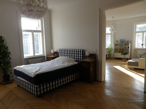 Appartement in a typical viennese house of 1900. Refurbished and furnished with  Vienna, Austria Charming Viennese Flair Entire rental unit vacation rental 2631015