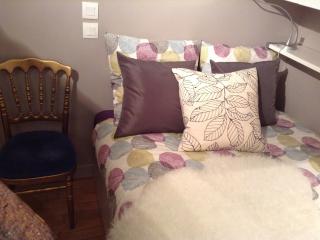 A lovely cosy flat is in the most convenient area of historical famous MARAIS di Paris, France Lovely mini-flat in a great MARAIS Entire rental unit vacation rental 20981982