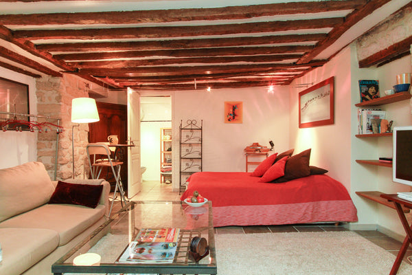 <b>The space</b><br />Large studio, decorated with taste, ideally located in the Paris, France Charming studio in historical site Entire rental unit vacation rental 314294