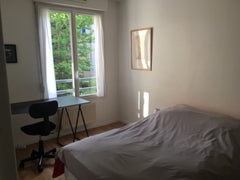 Light, quiet room  for one or two (one queen size bed) with desk.<br />Close to  Lyon, France Light, quiet room with continental breakfast Private room in rental unit vacation rental 31431206