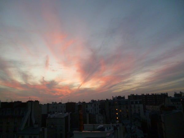 Close to the park of Buttes-Chaumont, in the charming and trendy district of Jou Paris, France Large sunny terrace in trendy district Entire rental unit vacation rental 3259229