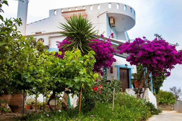 The Garden House, 1 bedroom, sleeps 2+1,owned and managed by Nick and Jodi Spint Pitsidia, Greece The Garden House Lovely 1- bedroom vacation home Entire vacation home vacation rental 596864699649745772