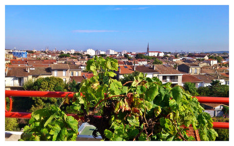 <b>The space</b><br />Spacious flat 56 m2, totally renovated ; very quiet, very  Bordeaux, France FLAT WITH AMAZING VIEW ON BORDEAUX Entire rental unit vacation rental 5808913