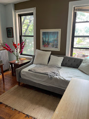 King sized bedroom and sectioned off living room with day bed. Sleeps 3. TV,  lo New York, NY Rental unit in Brooklyn · ★4.53 · 1 bedroom · 2 beds · 1 bath Entire rental unit vacation rental 540711103104604340