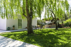 Liofyto is a fresh contemporary house surrounded by greenery, offering absolute   Liofyto House | Private Garden, Near The Beach Entire home vacation rental 34379963