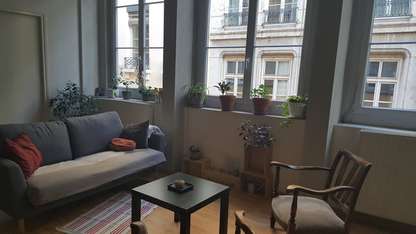 Fête des Lumières - Festival of lights 2018<br /><br />55m²<br /><br />Apparteme Lyon, France Appartement Lyon CENTRE Cordeliers - Fête Lumières Entire rental unit vacation rental 22008288
