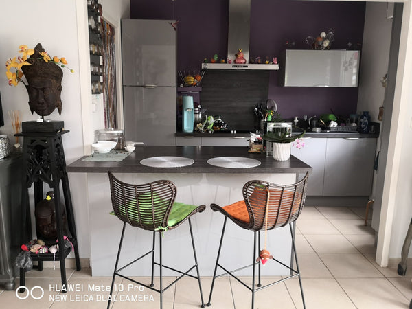 Faites une pause et détendez-vous dans cette oasis paisible. Petite particularit Bordeaux, France Maison de plain-pied agréable à vivre. Vue jardin Entire townhouse vacation rental 632321713696490980