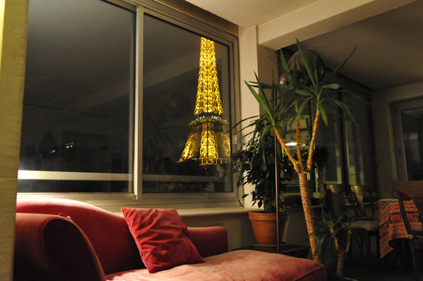 Grand appartement lumineux et calme donnant sur un parc privé et offrant une vue Paris, France Grand appartement au pied de la tour Eiffel Entire rental unit vacation rental 16389541