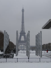 One of the best location in Paris with a real local life experience. <br />Perfe Paris, France Studio close to Eiffel tower quiet and cozy Entire rental unit vacation rental 13712849