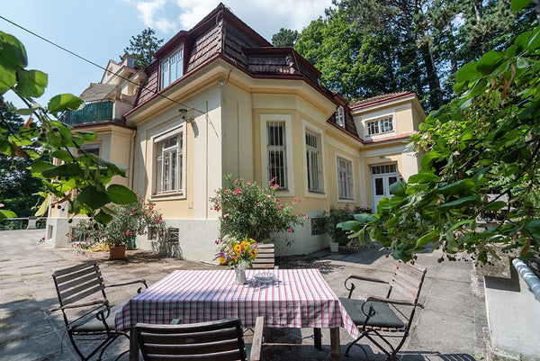 Das Apartment Bellevue (100 m2) befindet sich im ersten Stock unserer gediegenen Vienna, Austria Apartment 
