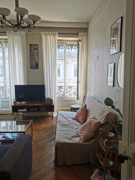 L'appartement est situé au centre de Lyon. Le tram T1 et métro D sont à moins de Lyon, France Appartement très bien situé Entire rental unit vacation rental 764454373608473447