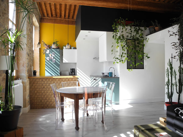 Appartement calme et confortable dans un immeuble du 17e siècle, au cœur du vieu Lyon, France Appartement d’artiste au centre-ville/City center Private room in rental unit vacation rental 35925806