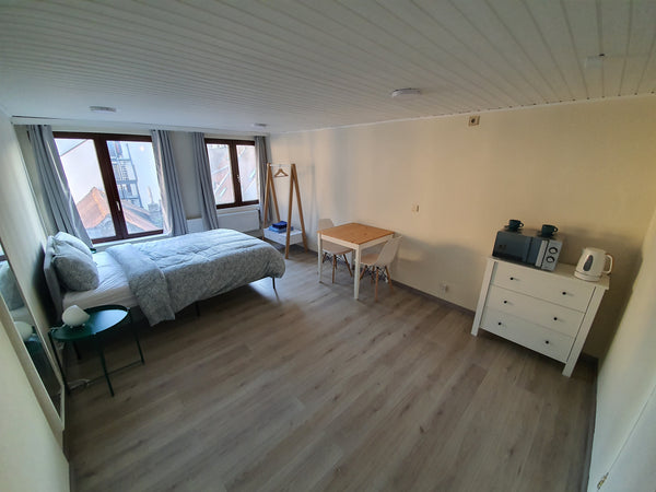 Situated in the heart of Brussels and his Unesco historic zone, you will enjoy t Braine-l'Alleud, Belgium In the heart of Brussels Entire rental unit vacation rental 7669240