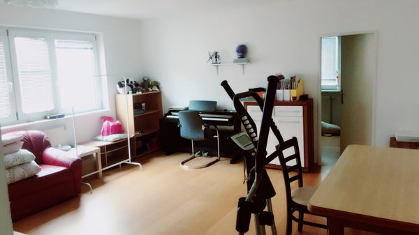 Is is just a living Room of a 100m2 apartment with a big sofa-bed just for short Vienna, Austria living room sofa bed in the center of vienna(R B) Private room in rental unit vacation rental 23849983