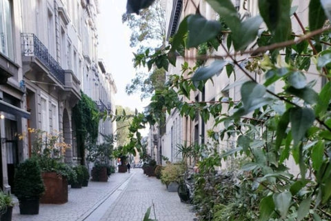   Beautiful Studio Ixelles Av Toisoin d'or 2P Entire guesthouse vacation rental 552774159663200712