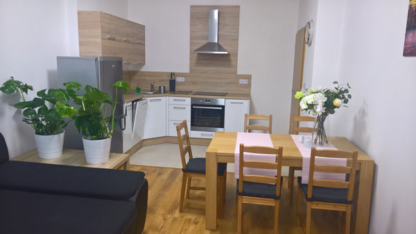Beautiful, spacious (70sqm), recently renovated, newly furnished, well-appointed Prague, Czechia Beautiful and spacious apartment Entire rental unit vacation rental 6773847