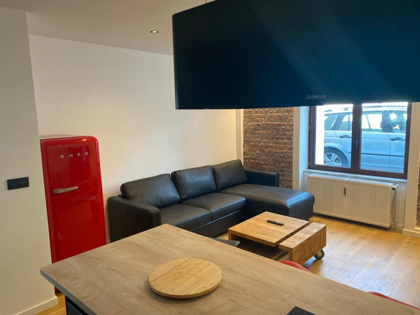 Ce logement, en rez-de-chaussée, peut convenir  pour un ou deux couple(s) ou une Brussels, Belgium Etterbeek:superbe appart dans le quartier européen Entire rental unit vacation rental 692742335216817099