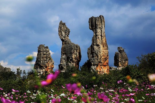 Private Day Tour to Stone Forest  Dianchi Lake and West Hill from Kunming  Private Tours and Travel Guide Asia Shanghai CITY Kunming Destination Tour