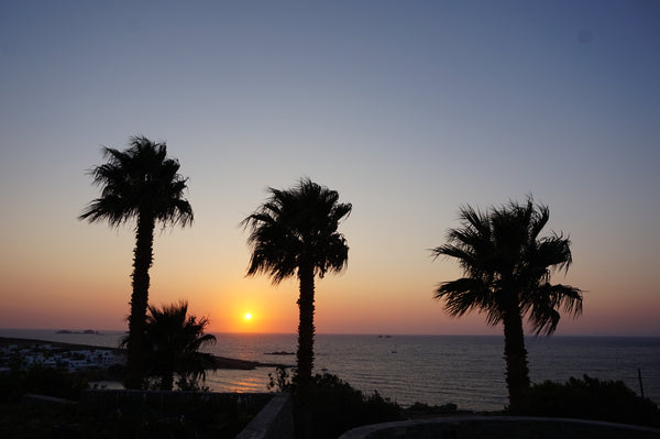 Our place is a 60sq.m. house near the beautiful city of Paroikia. It may only ha Athens, Greece Three palm house Entire home vacation rental 24828231