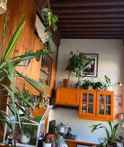Only available on the schedule mentioned on the calendar<br />*FOR CAT LOVERS ON Lyon, France Cocooning & arty jungle Croix Rousse Entire rental unit vacation rental 39175600