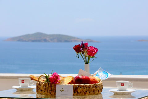 Elia Privileged Suites offers luxurious facilities in Andros that will relax and Athens, Greece Elia  Privileged  superior sea view suite Cycladic home vacation rental 645275830841453936