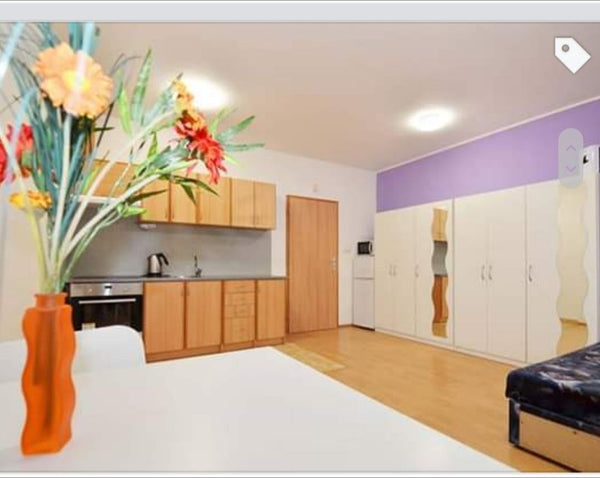 Nice studio, very close to the part of town called Angel.  Nearby is a large sho Prague, Czechia Lovely studio in Prague - close to Andel (U Zvonu) Entire condo vacation rental 620692223924939044
