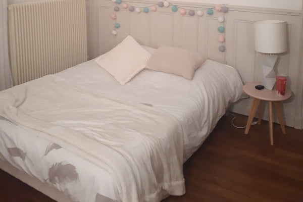 Je propose ma chambre fraîchement rénovée au cœur du 15ème arrondissement au pie Avignon, France Jolie chambre dans le 15ème Private room in rental unit vacation rental 23992821
