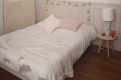 Je propose ma chambre fraîchement rénovée au cœur du 15ème arrondissement au pie Avignon, France Jolie chambre dans le 15ème Private room in rental unit vacation rental 23992821