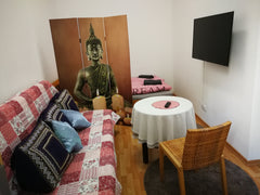 Ihre Studio-Wohnung besteht aus Wohnzimmer, Küche, Bad & Toilette. Das kostenlos Vienna, Austria Studio apartment 16€/Person near City Center Entire rental unit vacation rental 37156467