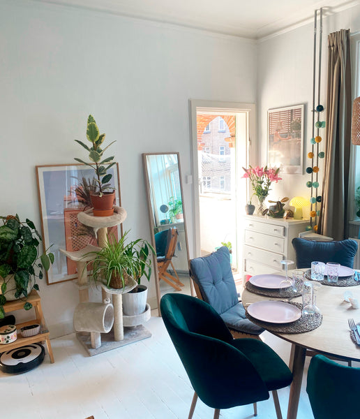 Small and very cosy apartment in central Nørrebro, no traffic noise and walking  Copenhagen, Denmark Cosy apartment in central Nørrebro Entire condo vacation rental 696702749136467263