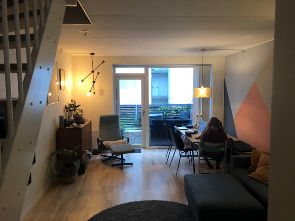 For rent autom break in October 2022. Includes taking care of 2 cute guinnea pig Copenhagen, Denmark Modern family friendly town house Entire condo vacation rental 1618565