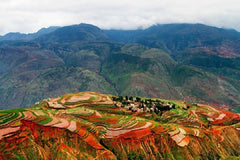 Two Days Colorful Private Tour from Kunming to Dongchuan Red Land  Private Tours and Travel Guide Asia Shanghai CITY Kunming Destination Tour Asia Shanghai CITY Kunming