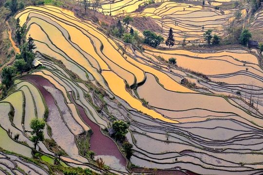 7 Days tour from Kunming to Lijiang and overnight in Yuanyang Rice Terraces  Private Tours and Travel Guide Asia Shanghai CITY Kunming Destination Tour