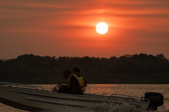 Paraguay River Nature and Wildlife Boat Tour from Asunción  Private Tours and Travel Guide America Asuncion CITY Asuncion Destination Tour