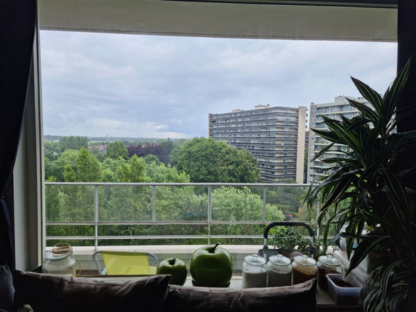 Business grade apartment with excellent commuting connections to Antwerp city ce  Monet Business grade comfortable apartment Entire rental unit vacation rental 657926530535236288
