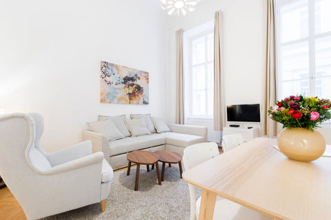 The studio apartment consists of:<br /><br />A beautifully decorated living area Vienna, Austria Supreme Studio near Oper - Apt 8B Entire rental unit vacation rental 12243513