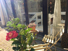 Le studio se situe dans un oasis vert et calme en intérieur d’îlot à l’abris des Ixelles, Belgium studio d'artist Entire rental unit vacation rental 34250500