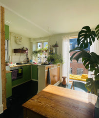 Vil du bo i vores lejlighed i Juli måned? Lejligheden er lille og meget hyggelig Copenhagen, Denmark Meget smuk lejlighed i hjertet af Vesterbro Entire condo vacation rental 644111993994833082