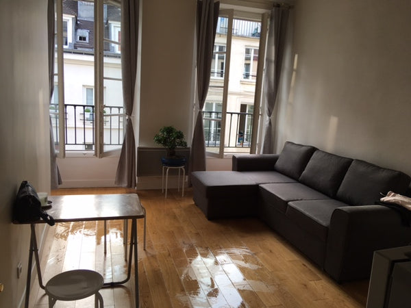 Bel appartement au centre de Paris de 45m², avec toutes les commodités nécessair Le Mans, France Appartement centre Paris/ Apartement in the center Entire rental unit vacation rental 21465076