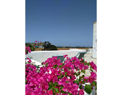 A Traditional Cycladic House gives you the opportunity to relax enjoy your Greek Greece 360°  Aegean Studio Pounta 5’ from the beach Cycladic home vacation rental 4591127