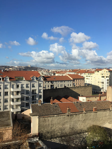 A double bedroom is available for those visiting Lyon in the Garibaldi area, whi Dublin, Ireland Private Room in Large Apartment Private room in rental unit vacation rental 9935495