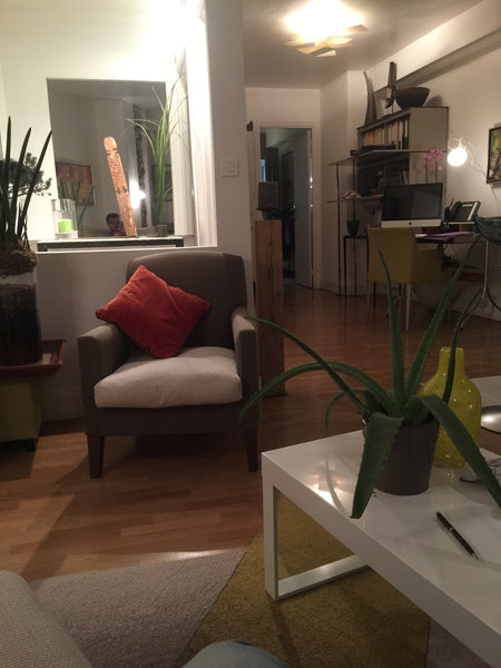 Beau deux pieces de 60 m2 plus 100 m2 de terrasse avec pelouse naturel et arbres Paris, France Plus belle vue de paris Entire rental unit vacation rental 16376607