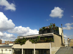 Dans Immeuble Eiffel, ancienne usine de lithographie, surface de 100m2 réhabilit Paris, France Loft traversant immeuble Eiffel, soleil, calme... Entire loft vacation rental 5372671
