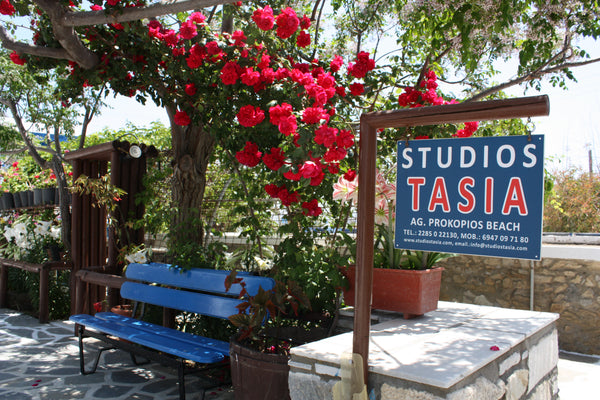 Studios Tasia are situated at the marvelous Agios Prokopios Beach within 10 minu Naxos, Greece Studios Tasia Private room in rental unit vacation rental 14564052