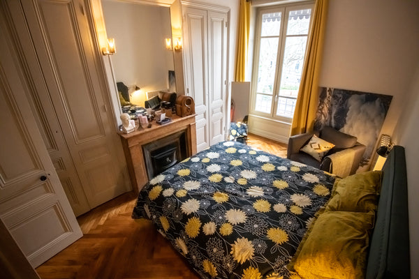Nous mettons à disposition notre chambre avec lit king size (160m) dans notre ch Lyon, France Chambre privée de 14m² dans Charmant apt lyonnais Private room in rental unit vacation rental 42283390