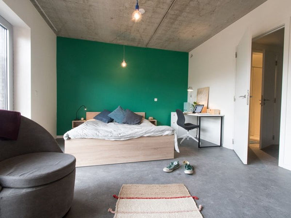 ambiance chaleureuse et appartement tout équipé dans un appartement parisien du  Prague, Czechia Chambre à la Vilette Private room in rental unit vacation rental 21664186