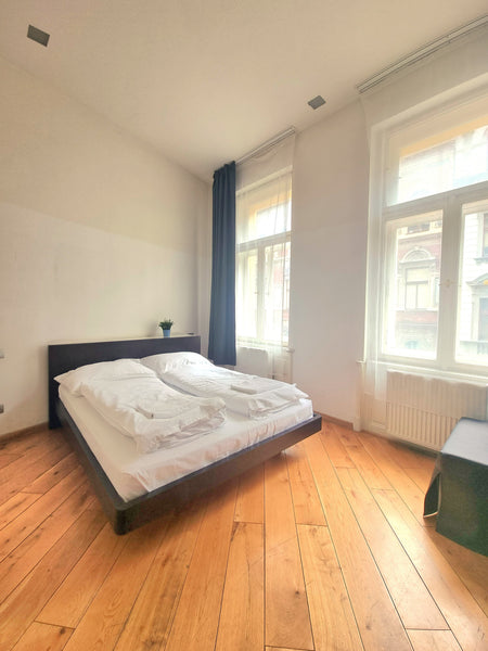 Private apartment.<br />Own Kitchen, Bath room, Living room and Bed room.<br />- Prague, Czechia Classical Apartment in the center of Prague 1 Entire condo vacation rental 42577971