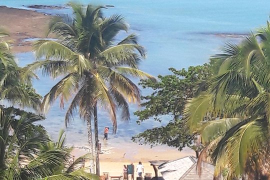 Full day tour to Praia do Espelho from Porto Seguro  Private Tours and Travel Guide America Bahia CITY Porto Seguro Destination Tour