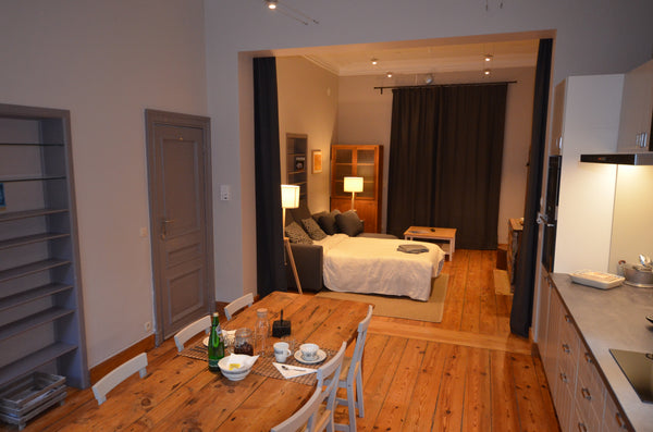 Appartement très spacieux,  entièrement rénové. <br />Idéalement situé dans une   Bruxelles centre- Superbe studio tout neuf :-) Entire condo vacation rental 567251773203448258