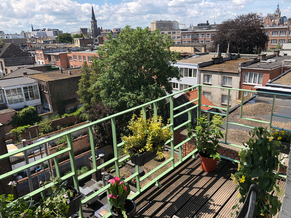 Spacious appartment in the centre of the vivid district of Borgerhout. Very clos Antwerp, Belgium Spacious appartment above the roofs in Antwerp Entire rental unit vacation rental 44086802